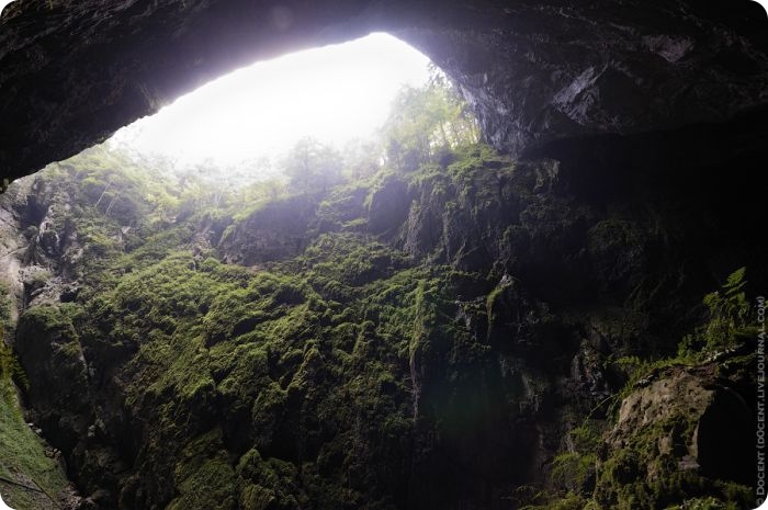 Природа Чехии, пропасть Мацоха (Macocha) (17 фото+текст)