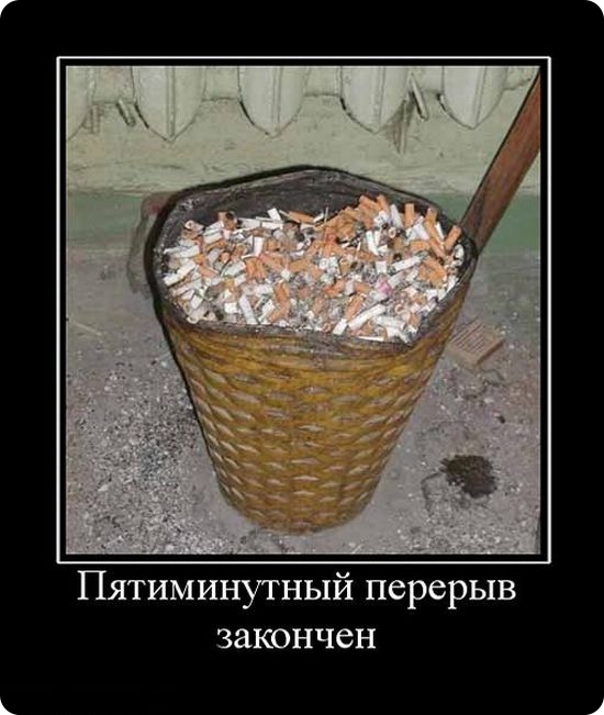 Демотиваторы (85 фото)