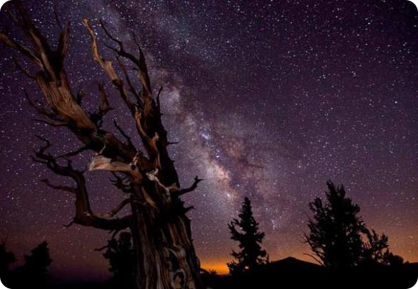 Лучшие астрономические снимки 2010