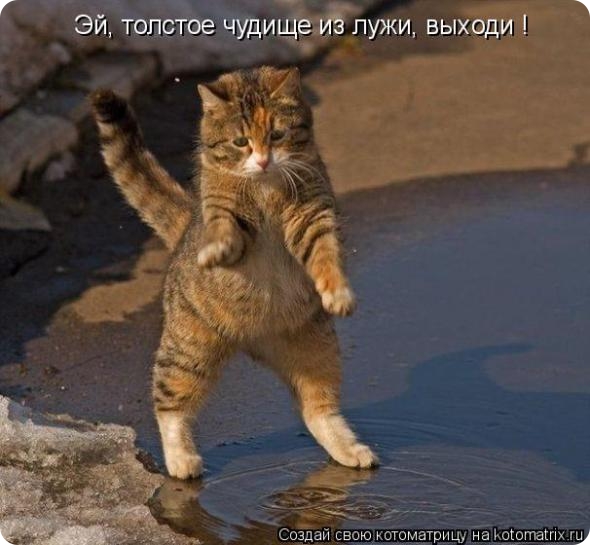 Вещи, которые убил Интернет