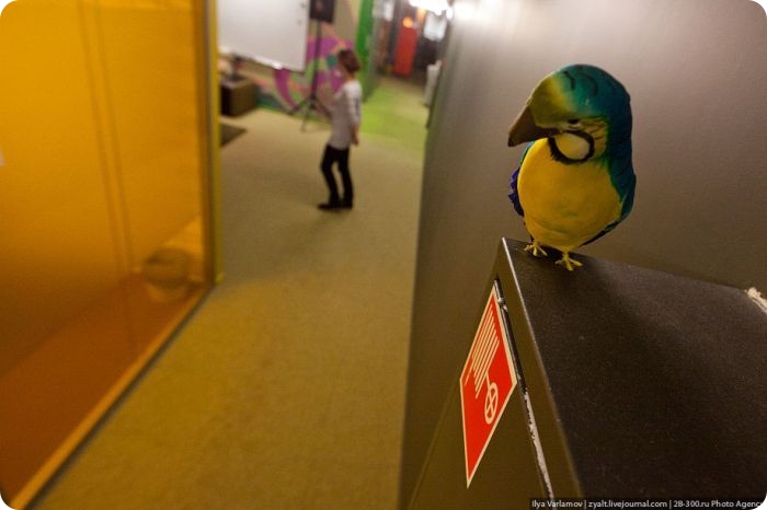 Сказочный офис Google в Москве (49 фото + текст)