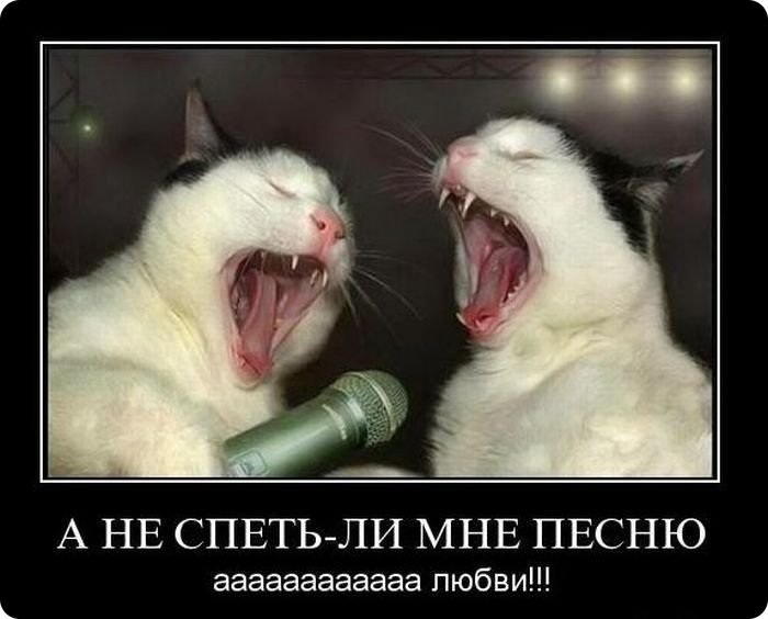 Демотиваторы (77 фото)