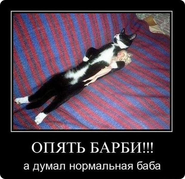 Демотиваторы (79 фото)