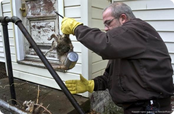 Звериные тропы февраля (неделя вторая).