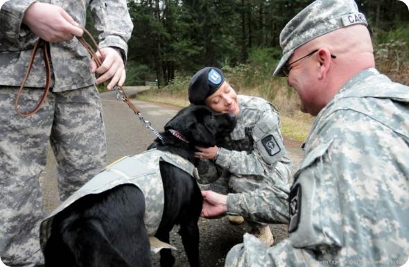 Звериные тропы февраля (неделя вторая).