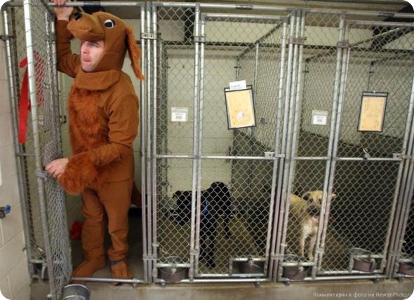 Звериные тропы февраля (неделя вторая).