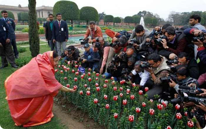 Новости в фотографиях за неделю (75 фото+текст)