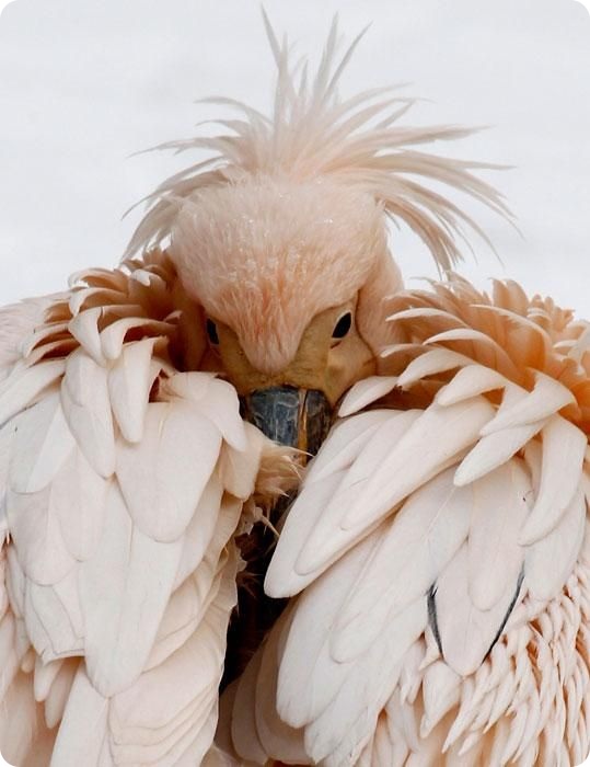 Новости в фотографиях за неделю (75 фото+текст)