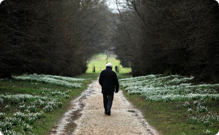 Новости в фотографиях за неделю (75 фото+текст)