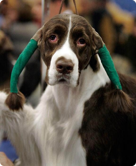 Новости в фотографиях за неделю (75 фото+текст)