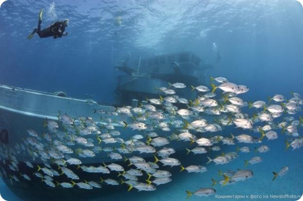 Фото затонувших кораблей со всего мира