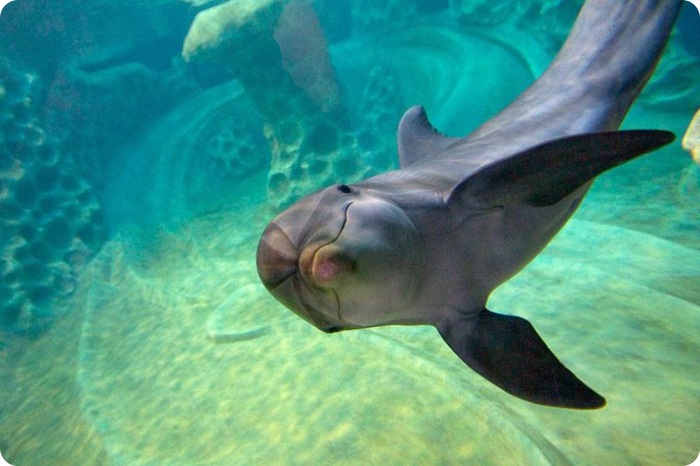 Новости в фотографиях за неделю (75 фото+текст)