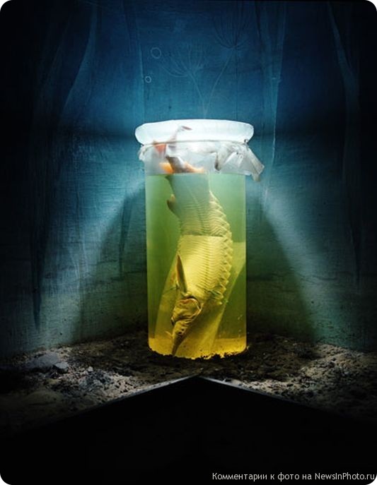 Эра человека