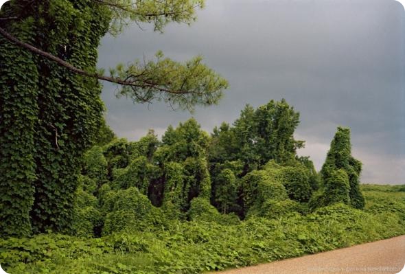 Эра человека