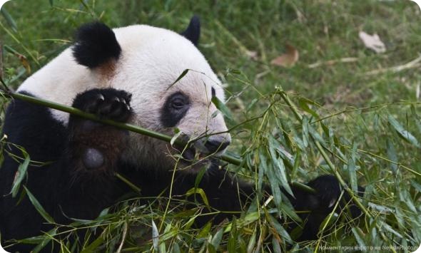 Путешествие из Гонконга в Тибет