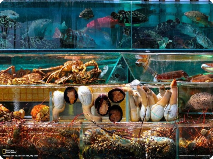 Путешествуй вместе с National Geographic (33 фото + текст)