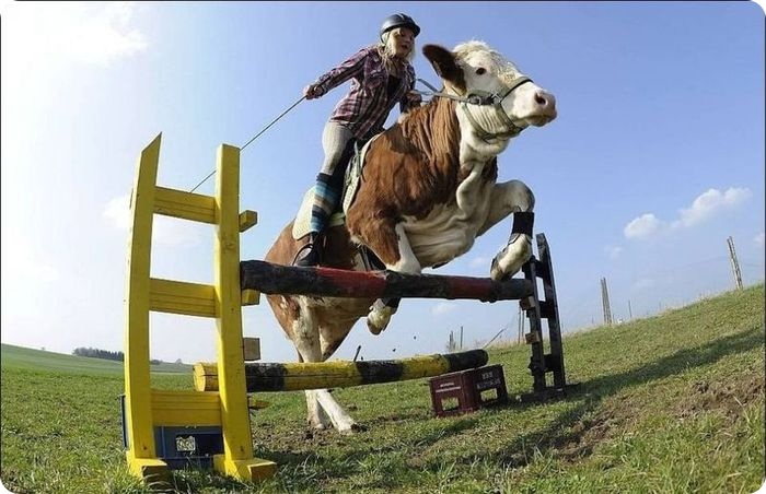 Верхом на Луне (5 фото)