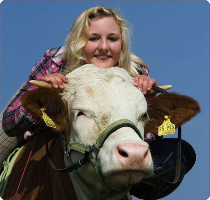 Верхом на Луне (5 фото)