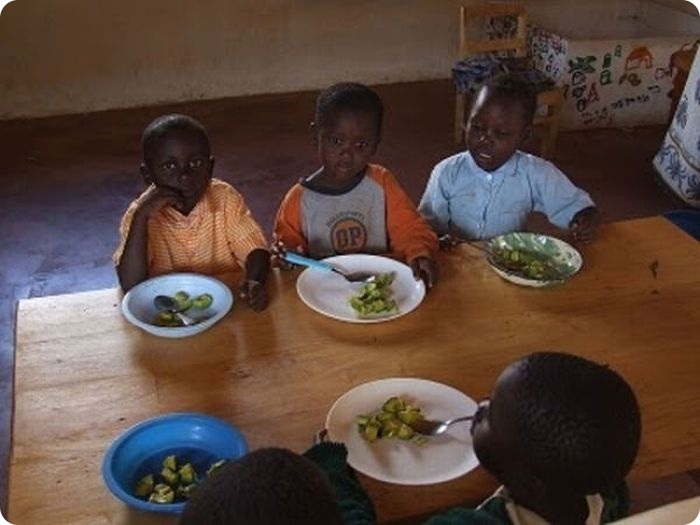 Школьная еда в разных стран мира (40 фото)