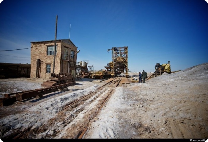 Соль земли (32 фото)