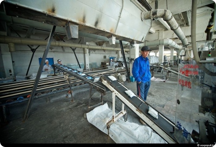 Соль земли (32 фото)