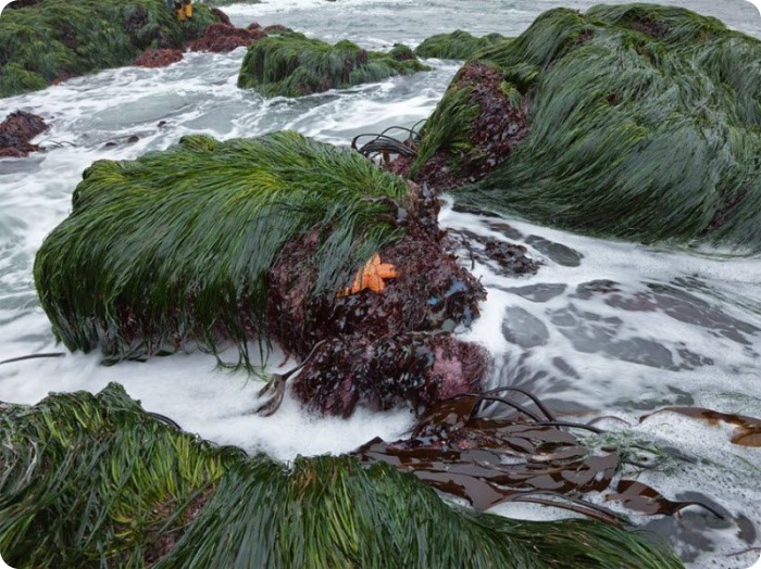 Лучшие фотографии National Geographic за май (32 фото)