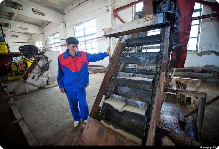 Соль земли (32 фото)