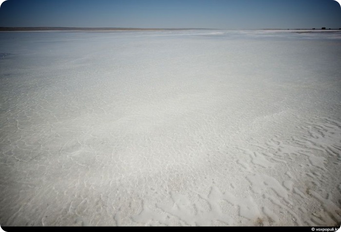 Соль земли (32 фото)