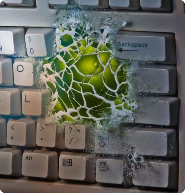 Красота мгновенья от Алана Сэйлера (14 фото)