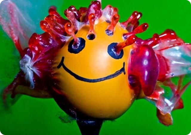 Красота мгновенья от Алана Сэйлера (14 фото)