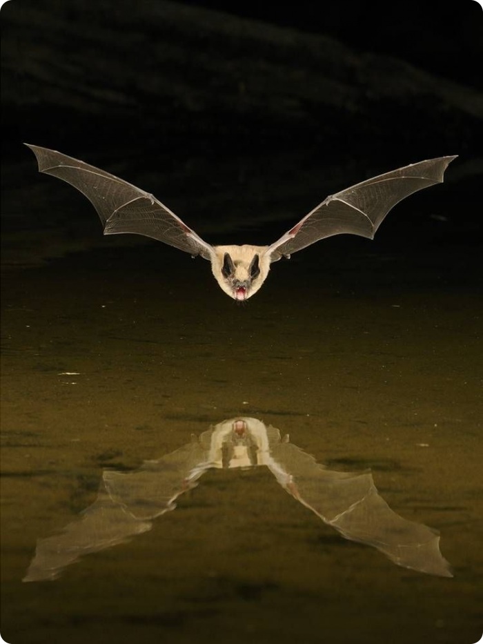 Застывшие во времени (12 фото)