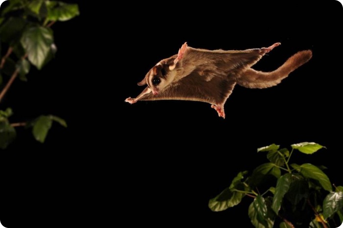 Застывшие во времени (12 фото)