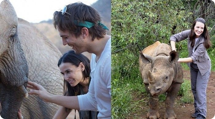 Звезды на сафари (9 фото)