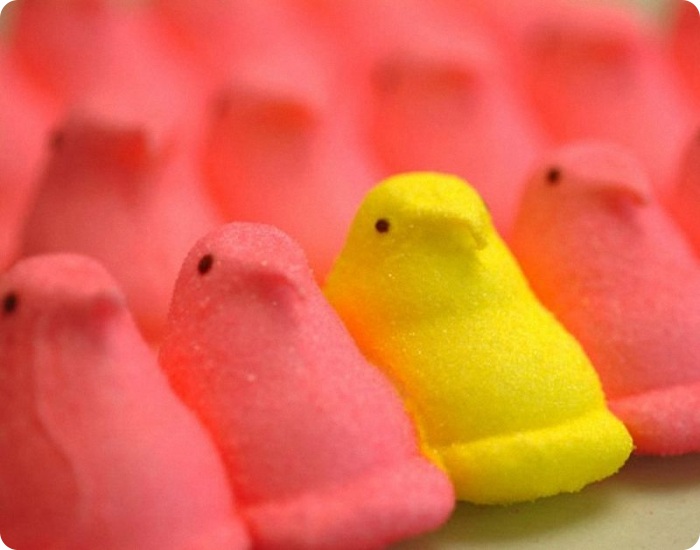 Лучшие мировые фотографы еды (67 фото)