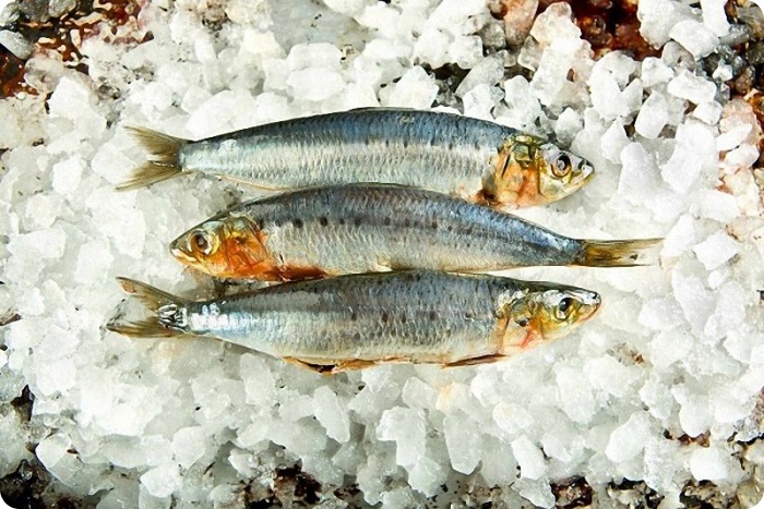 Лучшие мировые фотографы еды (67 фото)