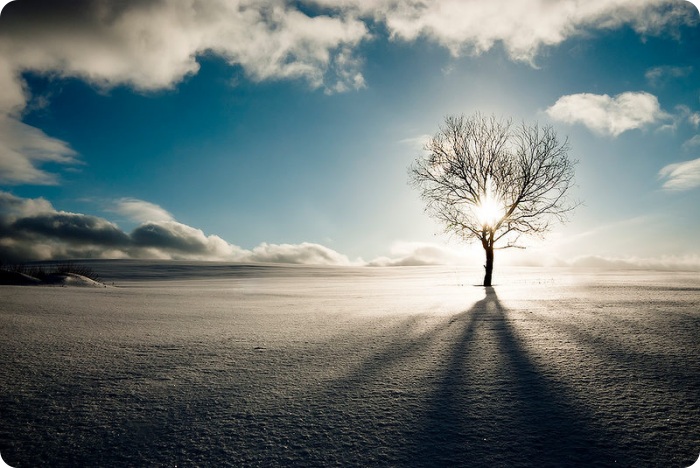 Победители конкурса “Русский пейзаж”