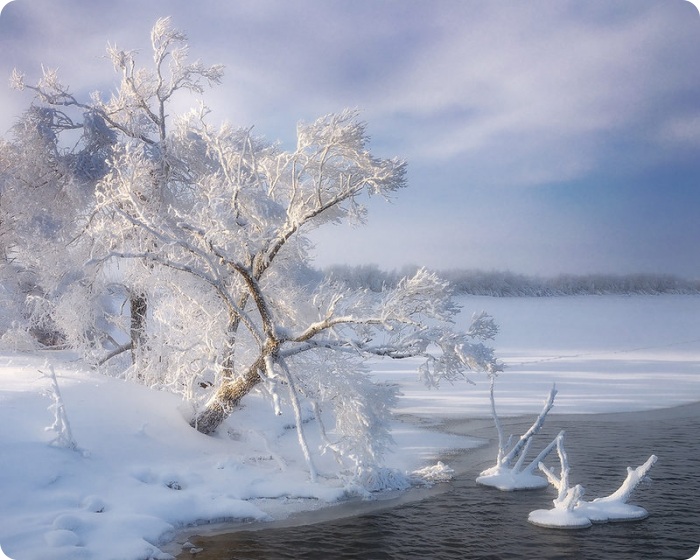 Победители конкурса “Русский пейзаж”