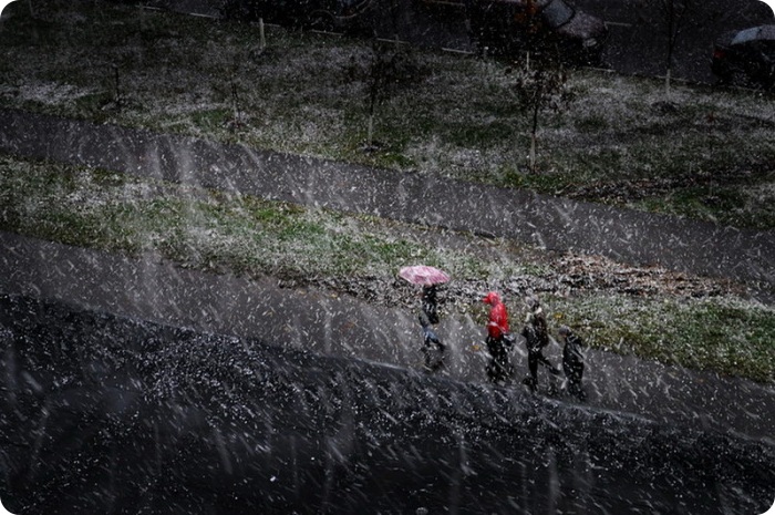 Победители конкурса “Русский пейзаж”