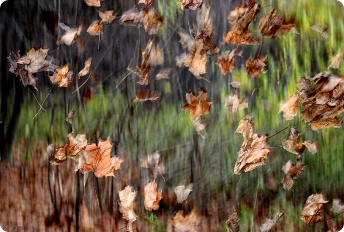 Победители конкурса “Русский пейзаж”