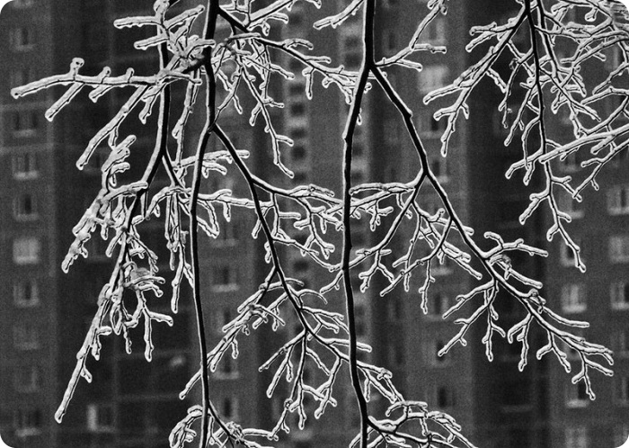 Победители конкурса “Русский пейзаж”