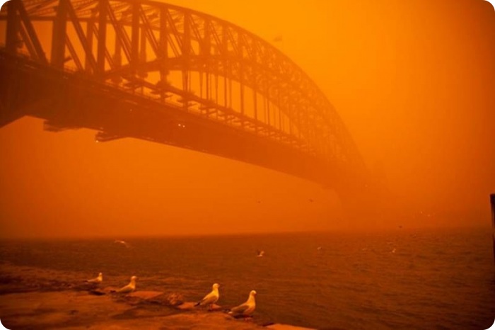 Пыльные бури в фотографиях (11 фото)