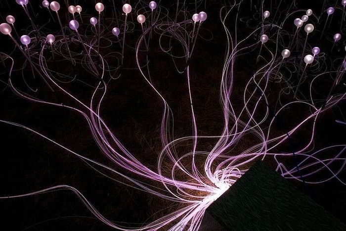 Световые инсталляции художника Bruce Munro (30 фото)