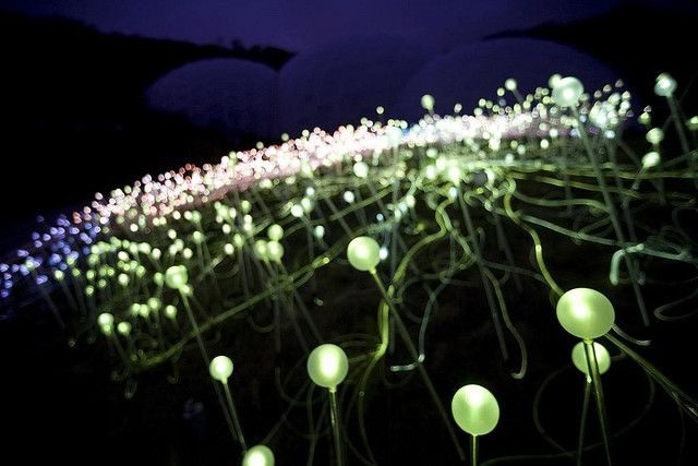 Световые инсталляции британского художника Bruce Munro (30 фото)