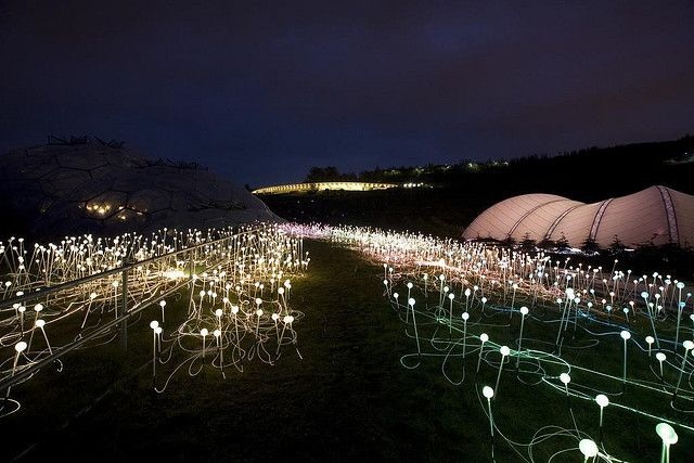 Световые инсталляции британского художника Bruce Munro (30 фото)