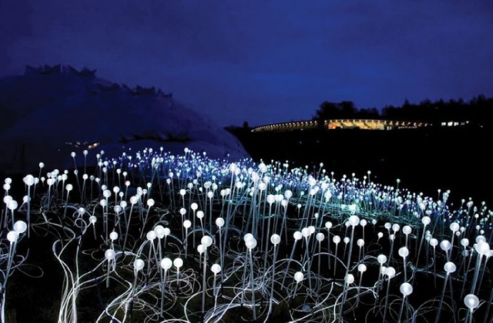 Световые инсталляции британского художника Bruce Munro (30 фото)