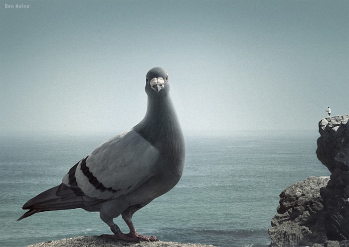 Оптический обман в фотографии (часть 2)