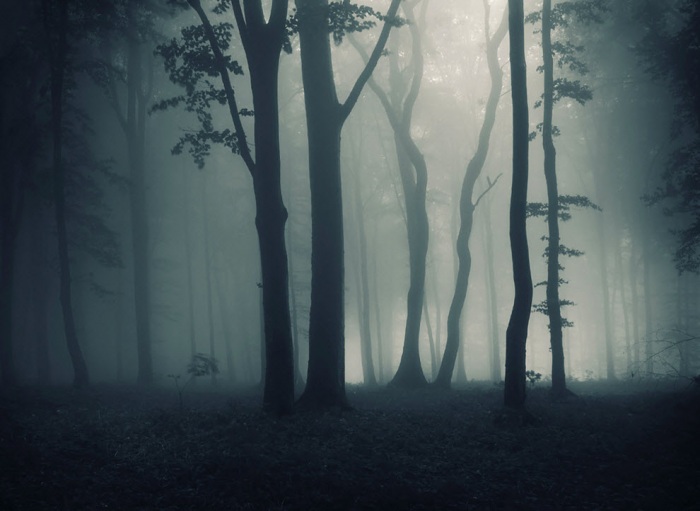 100 изумительных фотографий тумана (часть 2)