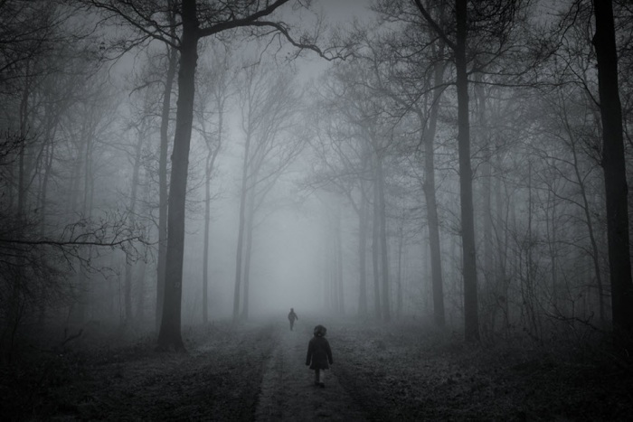 100 изумительных фотографий тумана (часть 2)