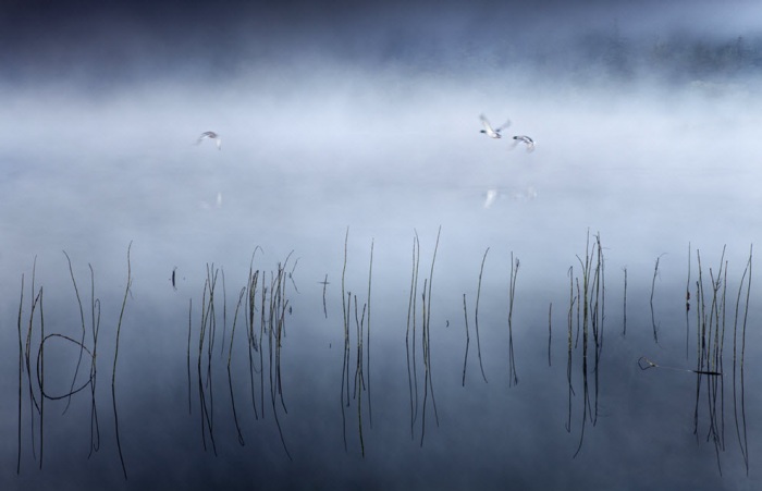 100 изумительных фотографий тумана (часть 2)