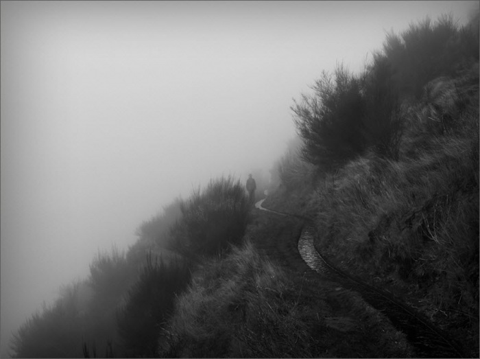 100 изумительных фотографий тумана (часть 2)